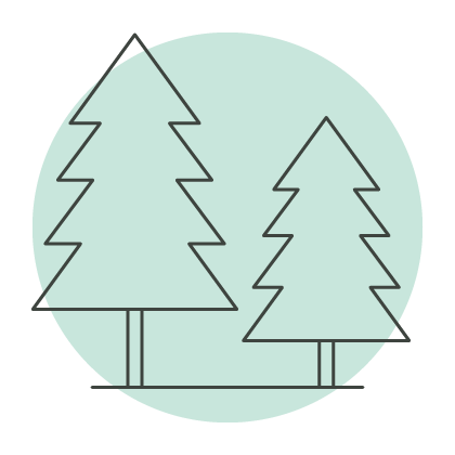 Every order plants a tree